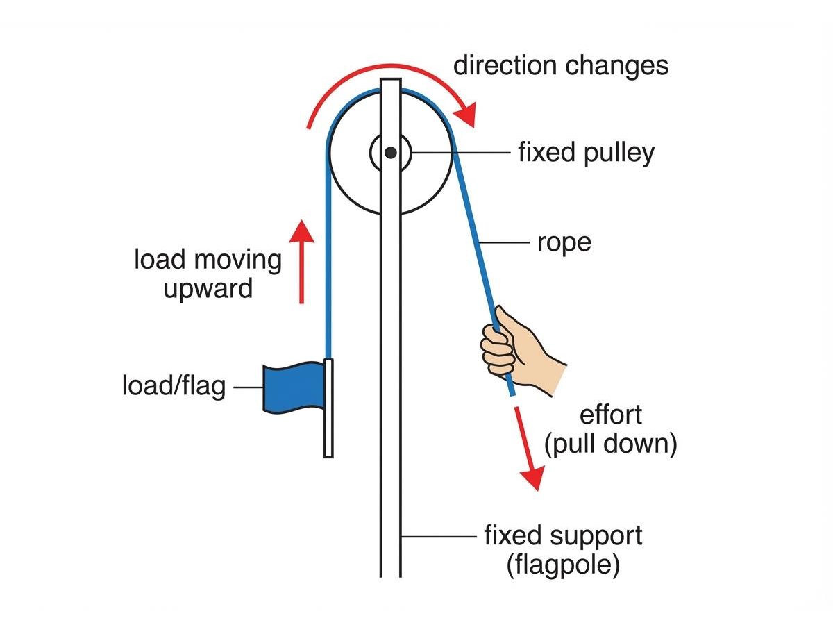 Fixed Pulley Use